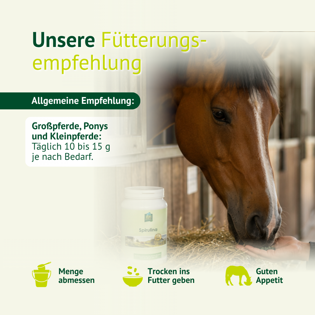 Fütterungsempfehlung für LEXA Spirulina: Großpferde, Ponys und Kleinpferde erhalten täglich 10 bis 15 g trocken ins Futter.