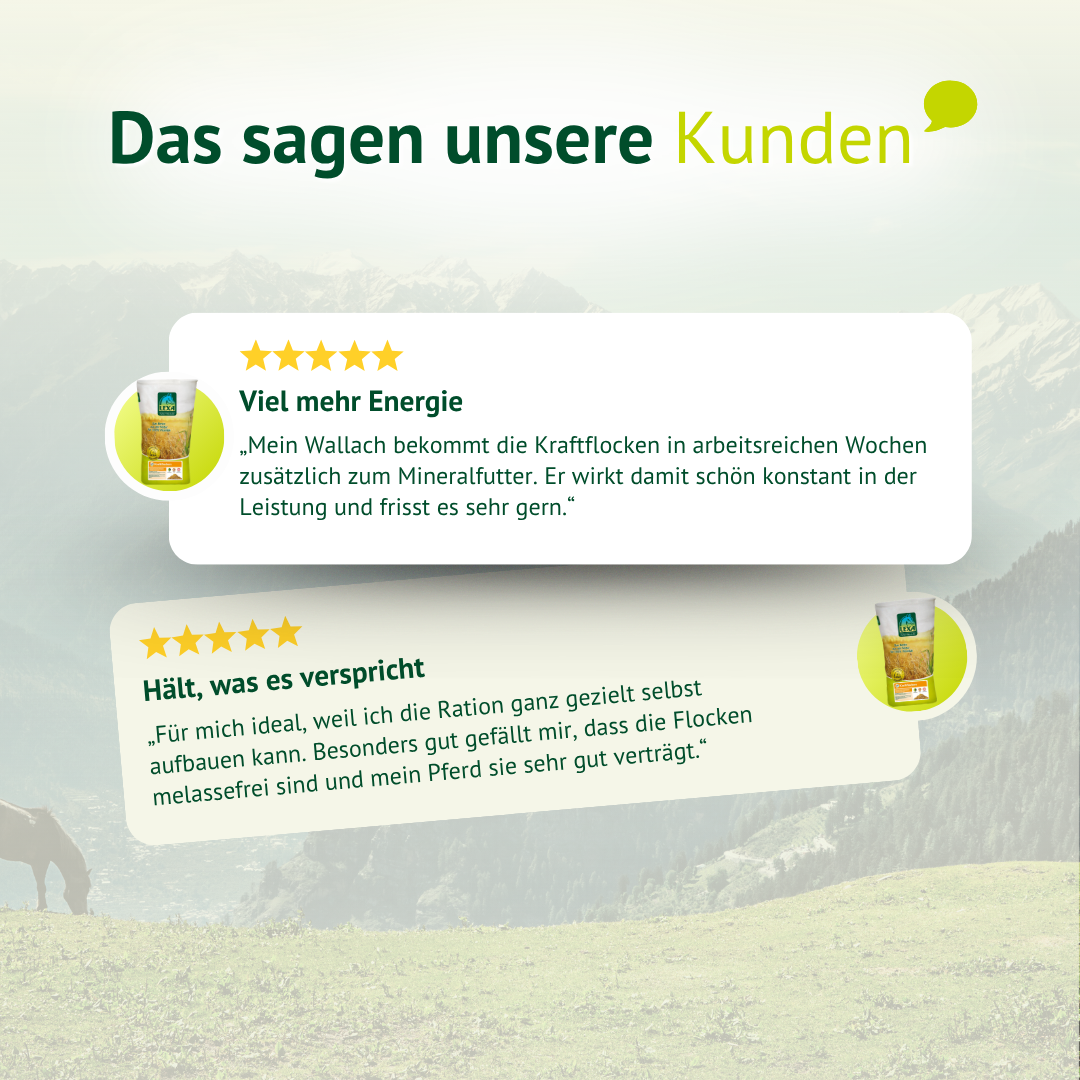 Kundenmeinungen zu LEXA Pferdefutter – mehr Energie und hohe Verträglichkeit im Alltag