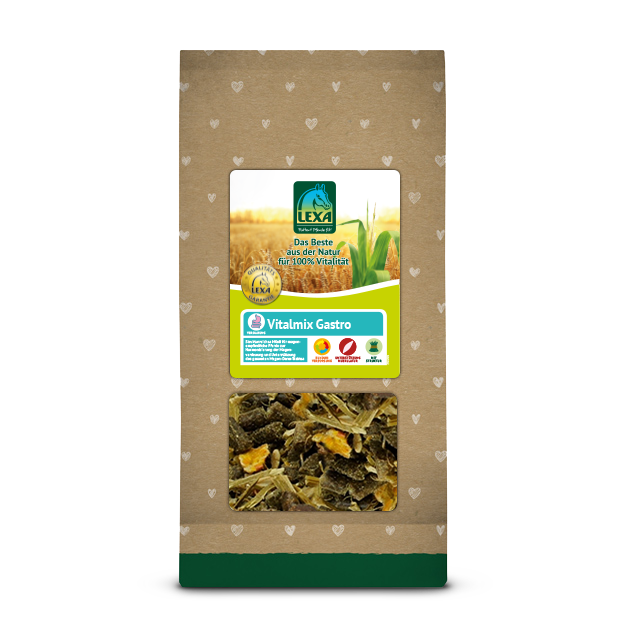 Vitalmix Gastro