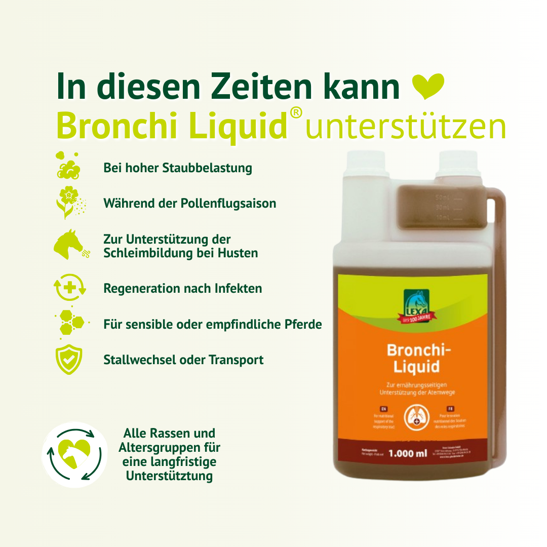 Bronchi Liquid unterstützt Pferde bei Staubbelastung, Pollenflug, Husten und nach Infekten – für empfindliche Atemwege.