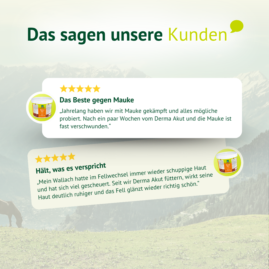 Kundenstimmen zu LEXA Derma-Akut mit Erfahrungen zur Unterstützung bei Mauke, Juckreiz, Schweifscheuern und Fellglanz.