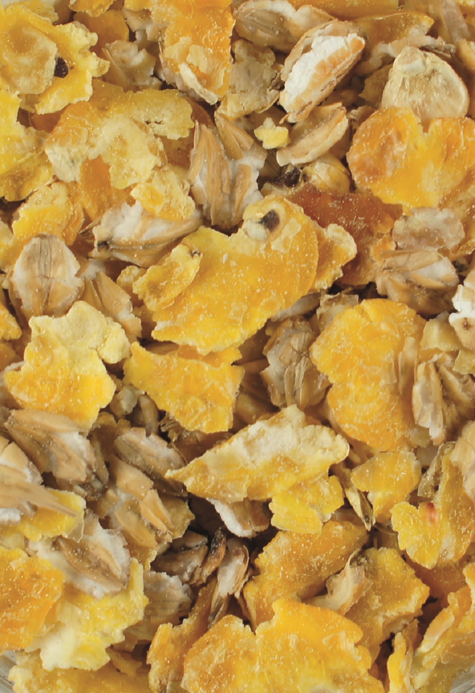 Haferflocken mit getrockneten Früchten Nahaufnahme von Haferflocken mit getrockneten Fruchtstücken, hauptsächlich orangefarbenen.