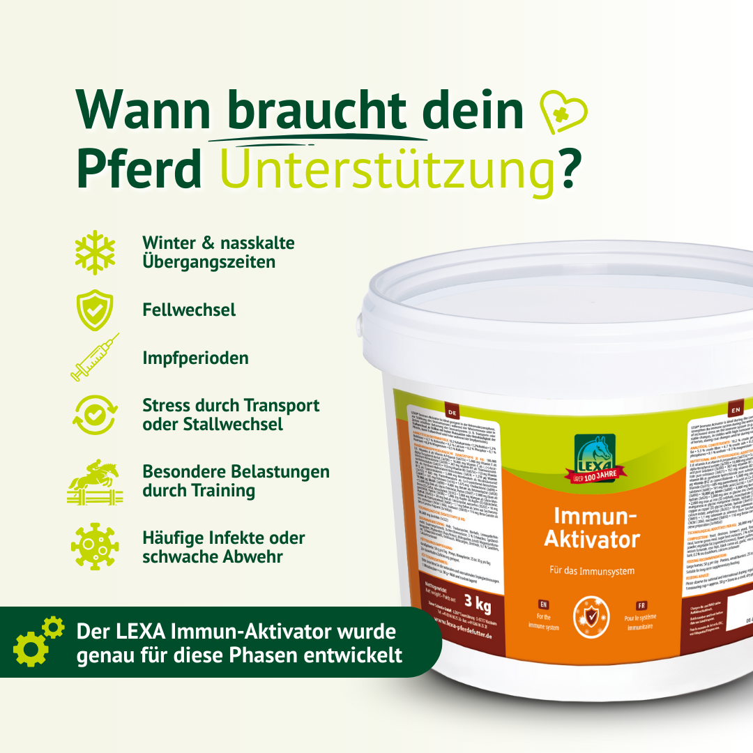 Grafik „Wann braucht dein Pferd Unterstützung?“ mit Icons für Winter, Fellwechsel, Impfperioden, Stress, Training und Infekte.