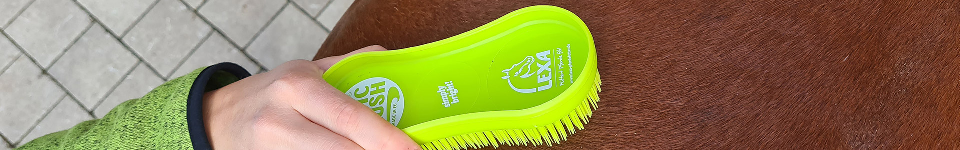 Bürsten eines Pferdes mit grüner Bürste Eine Hand bürstet das Fell eines Pferdes mit einer grünen Bürste.