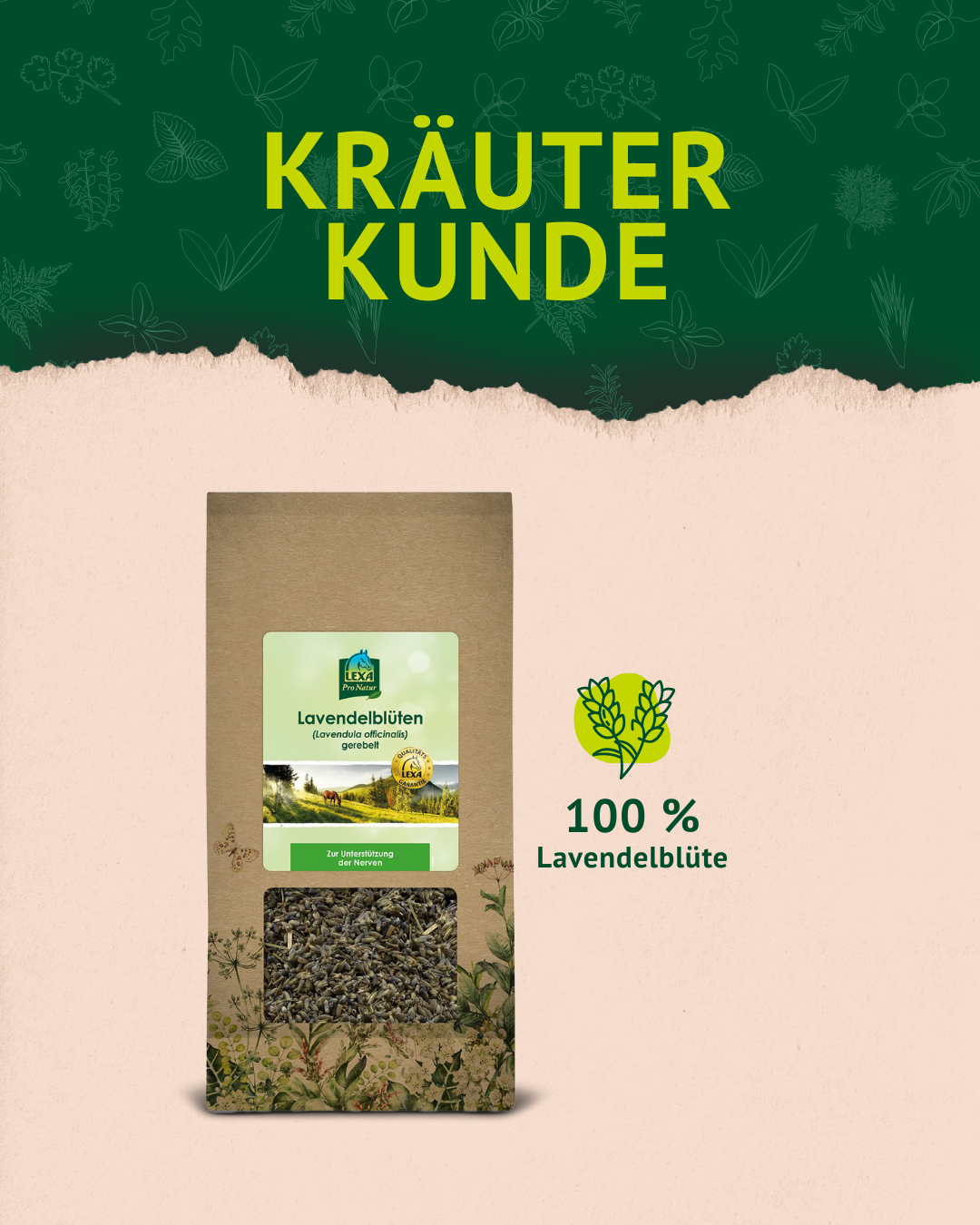 3. Lavendel Post der Kräuterkunde 3. Lavendel Post der Kräuterkunde