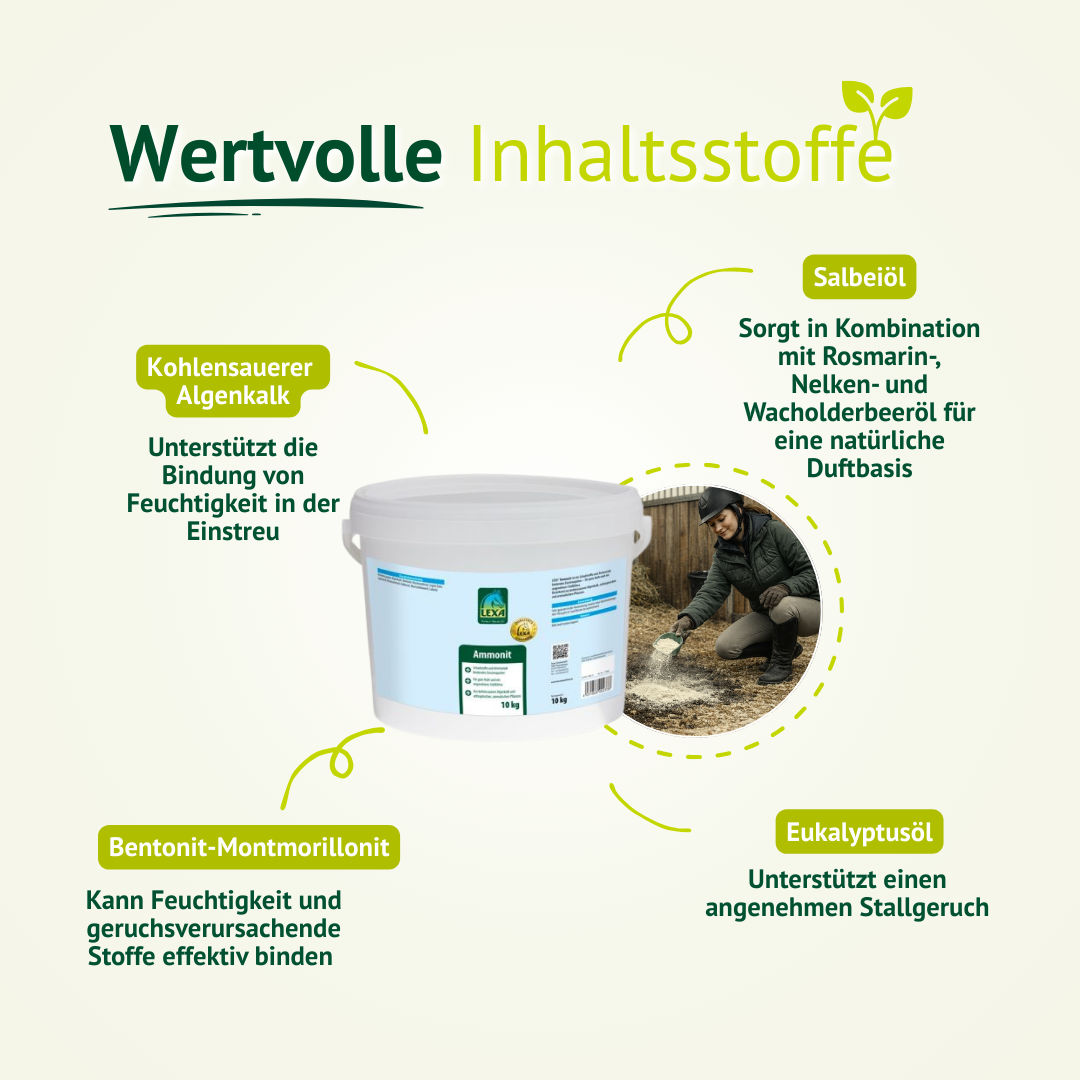 Inhaltsstoffe von LEXA Ammonit – Algenkalk, Bentonit-Montmorillonit, Salbeiöl und Eukalyptusöl für natürliche Geruchsbindung