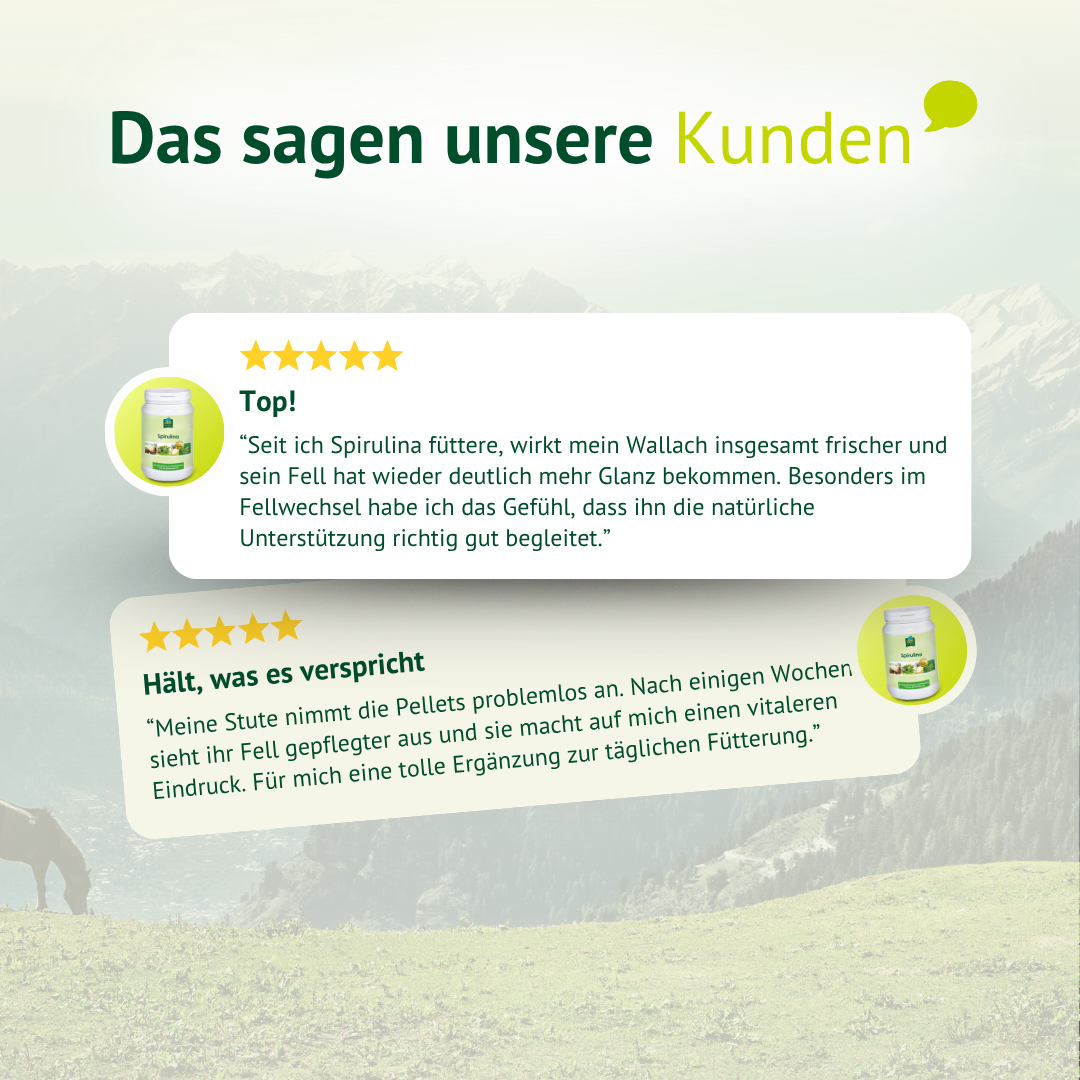 Kundenbewertungen zu LEXA Spirulina mit positiven Erfahrungen zu Fellglanz, Vitalität und einfacher Ergänzung der täglichen Fütterung.