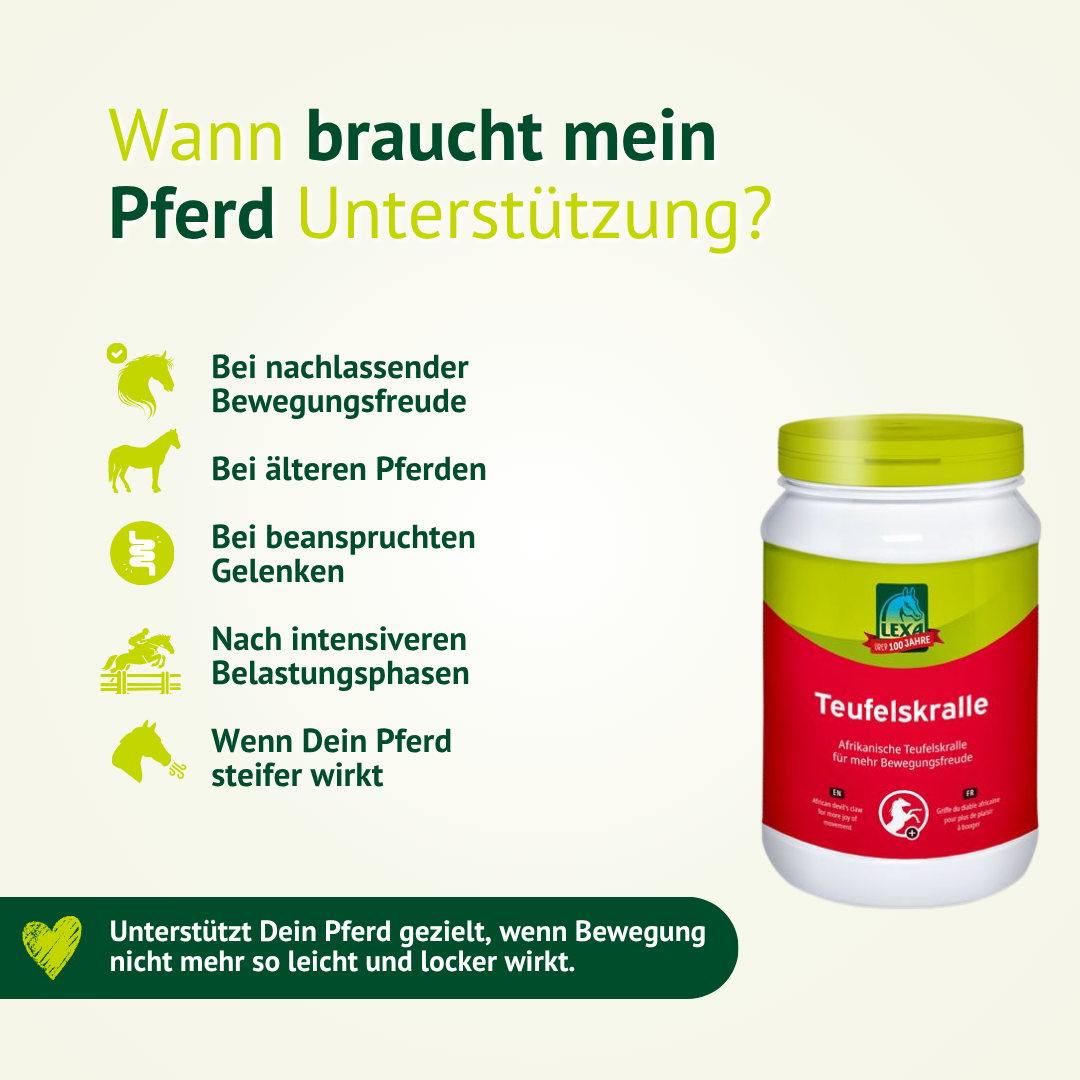 Infografik zur Frage, wann ein Pferd Unterstützung durch LEXA Teufelskralle braucht, zum Beispiel bei nachlassender Bewegungsfreude, älteren Pferden oder stärker beanspruchten Gelenken.