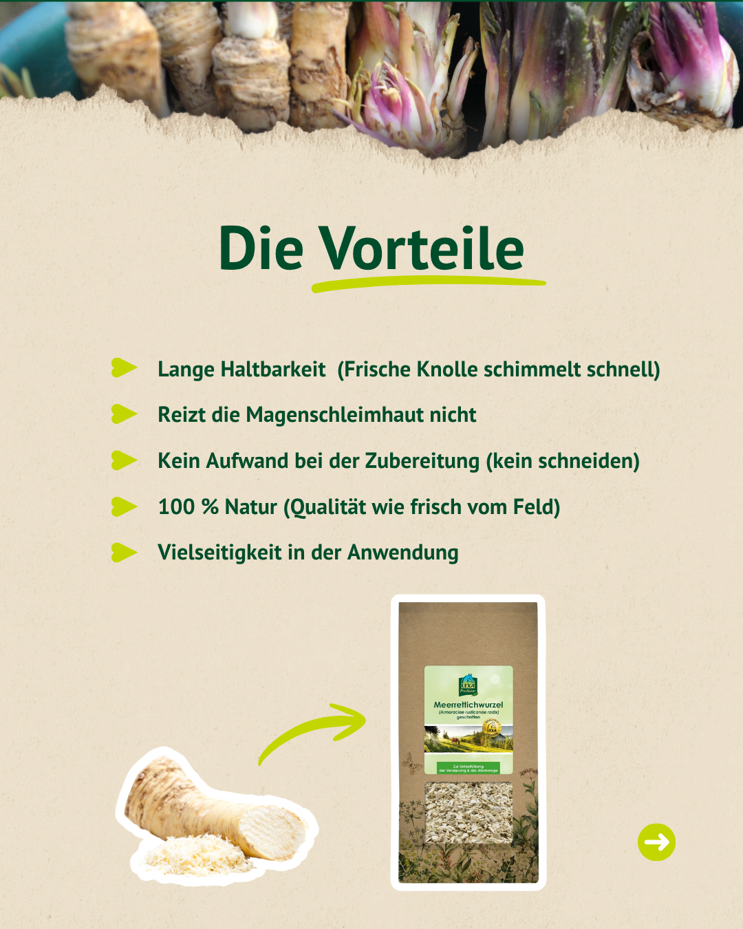 Vergleich und Anwendung von Meerrettich – einfach in die tägliche Fütterung integrieren