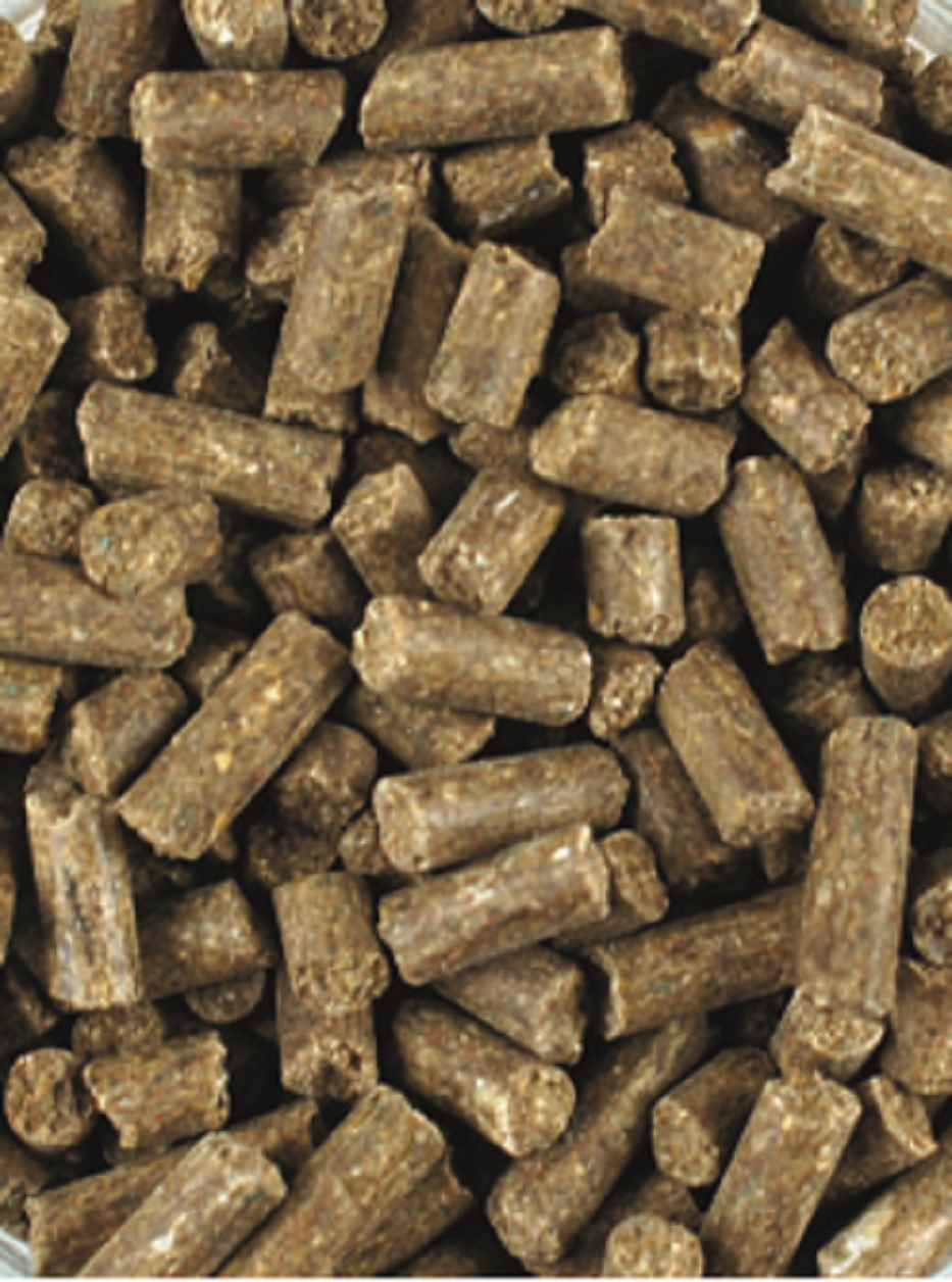 Tierfutterpellets Braune Tierfutterpellets in einer unregelmäßigen Anordnung.