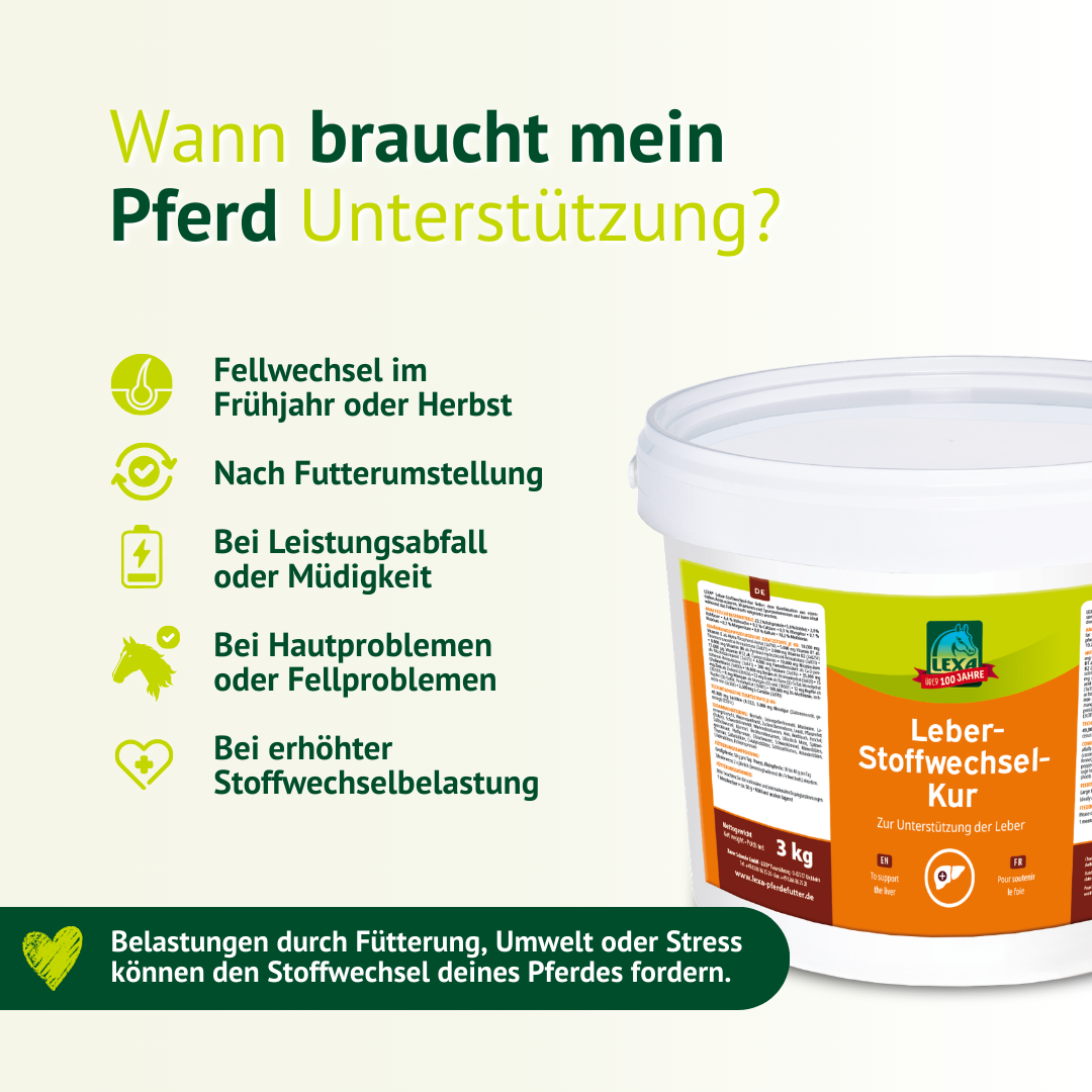 Infografik zur Leber-Stoffwechsel-Kur von LEXA mit Anwendungsfällen wie Fellwechsel, Futterumstellung, Magen-Darm-Stress und erhöhter Belastung.