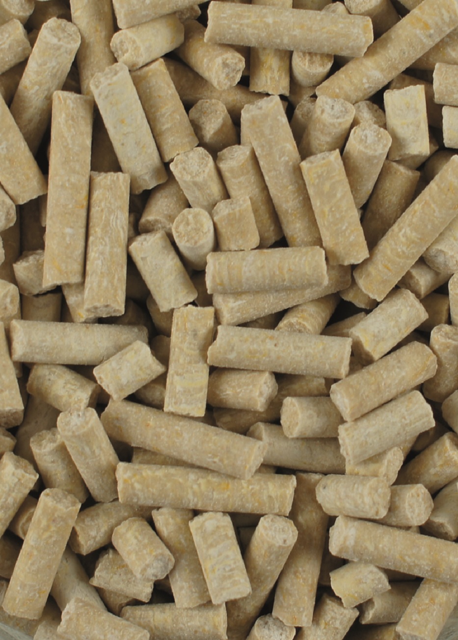 Helle Pellets Eine Ansammlung von kleinen, hellbraunen Pellets, die unregelmäßig angeordnet sind.