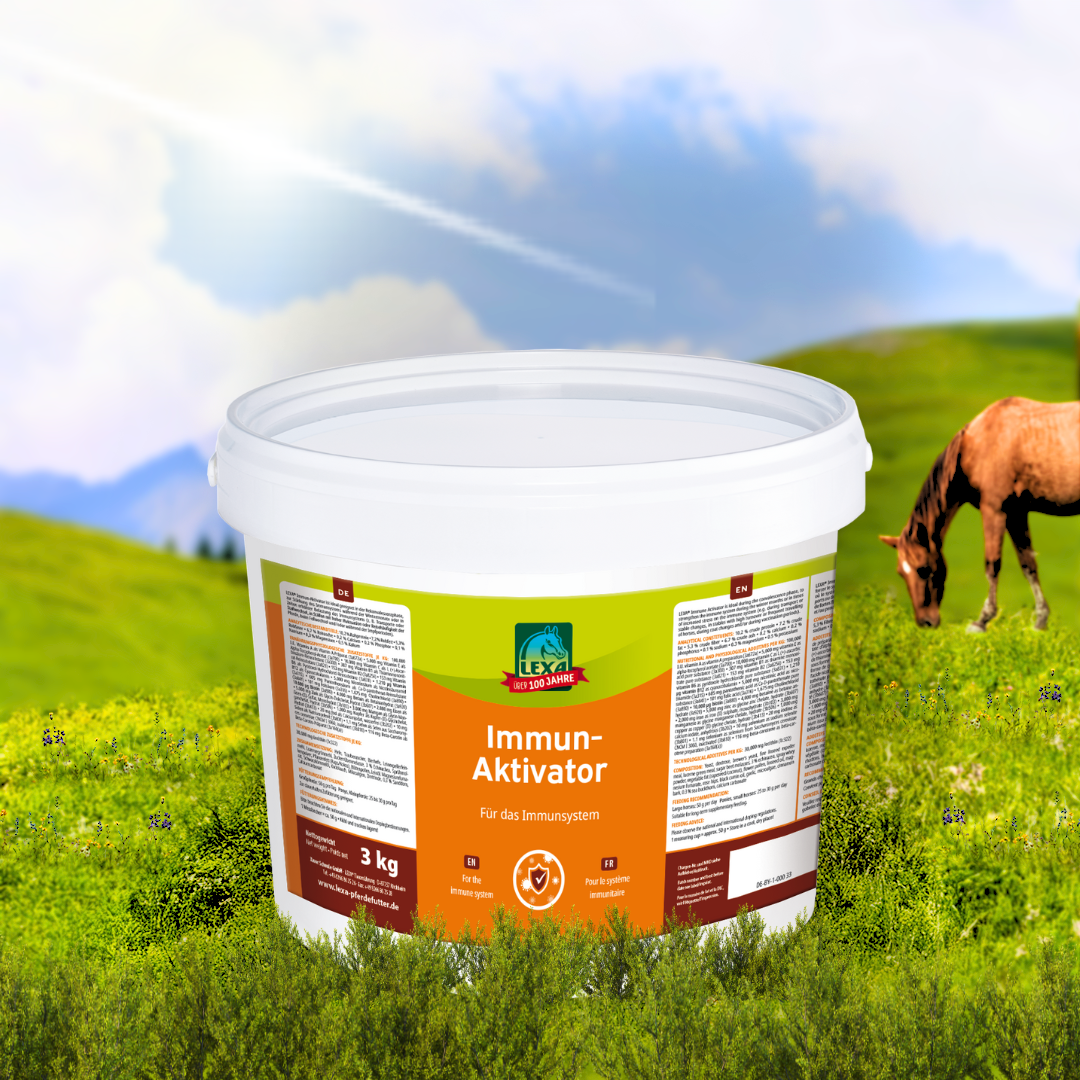 Produktbild mit Pferd um Hintergrund