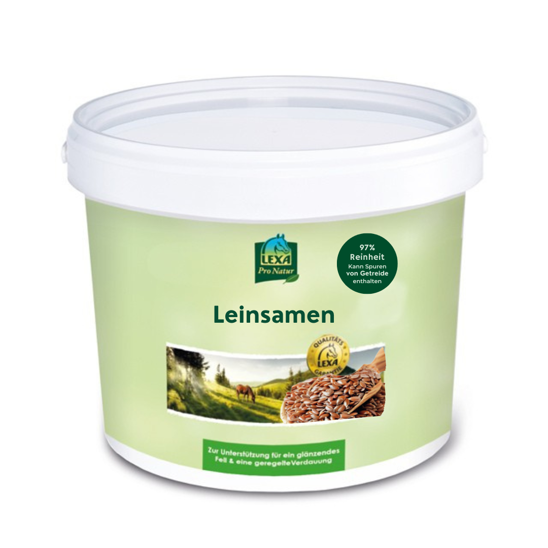 Leinsamen, braun Weißer Kunstoffeimer mit braunem Leinsamen. Grüne Verpackung mit Landschaftsbild und braunen Leinsamen.