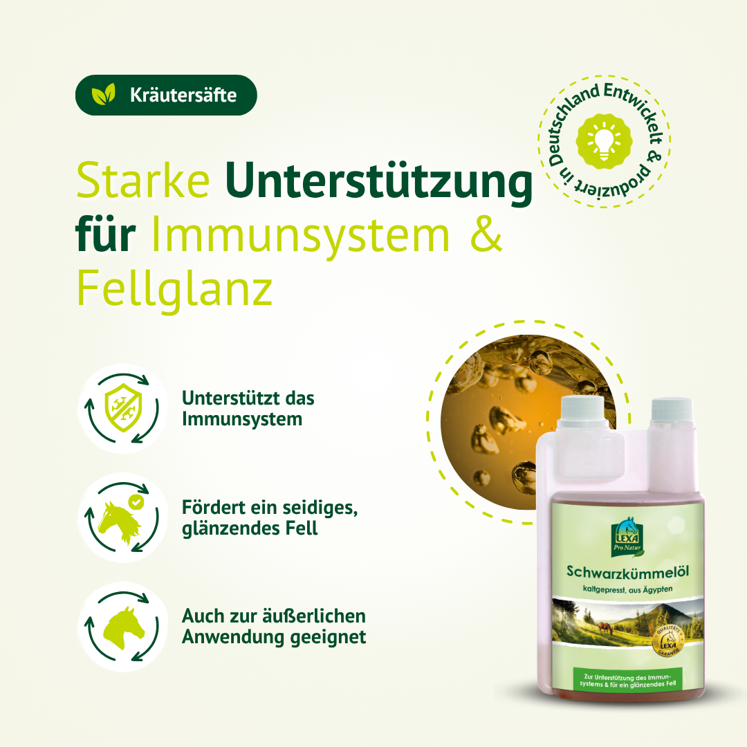 Schwarzkümmelöl für Pferde – Unterstützung für Immunsystem und glänzendes Fell, auch zur äußeren Anwendung geeignet