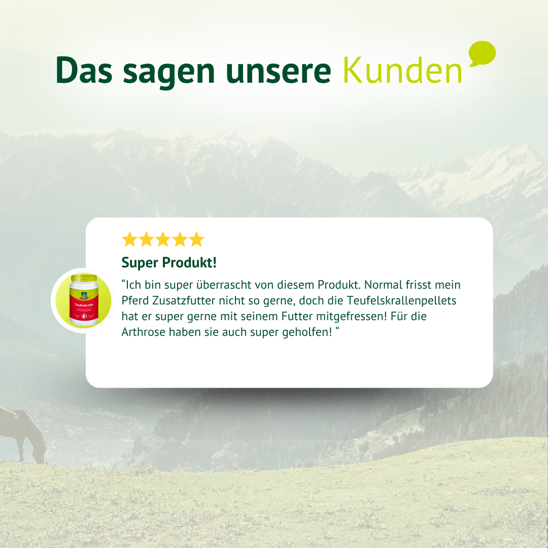 Kundenbewertung zu LEXA Teufelskralle vor einer dezenten Berg- und Wiesenlandschaft mit hervorgehobener Sternebewertung.
