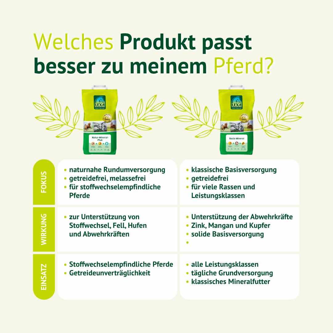 Welches Mineralfutter passt zu meinem Pferd – Vergleich zwischen getreidefreier Rundumversorgung und klassischem Mineralfutter