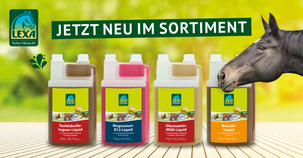 LEXA Pferdepflege Produkte LEXA Liquide fürs Pferd
