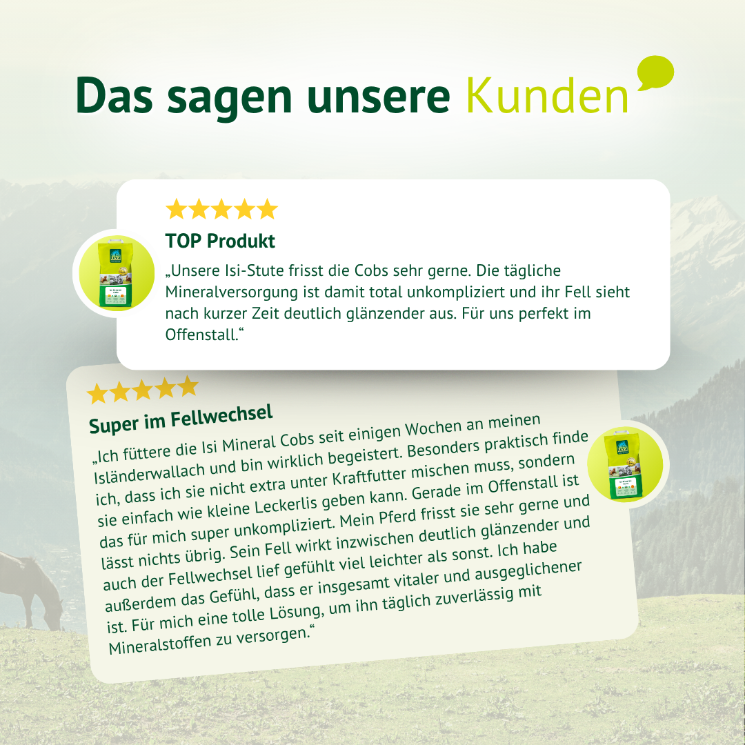 Kundenbewertungen zu LEXA Isi-Mineral-Cobs mit positiven Erfahrungen zu Fellwechsel, Mineralversorgung und Akzeptanz.