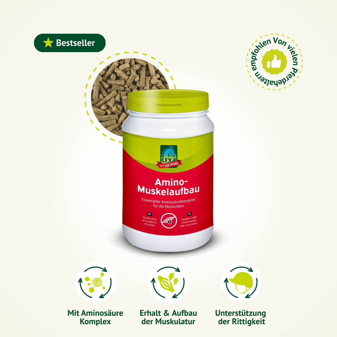 LEXA Amino-Muskelaufbau Ergänzungsfuttermittel für Pferde mit Pellets und Produktvorteilen im Überblick