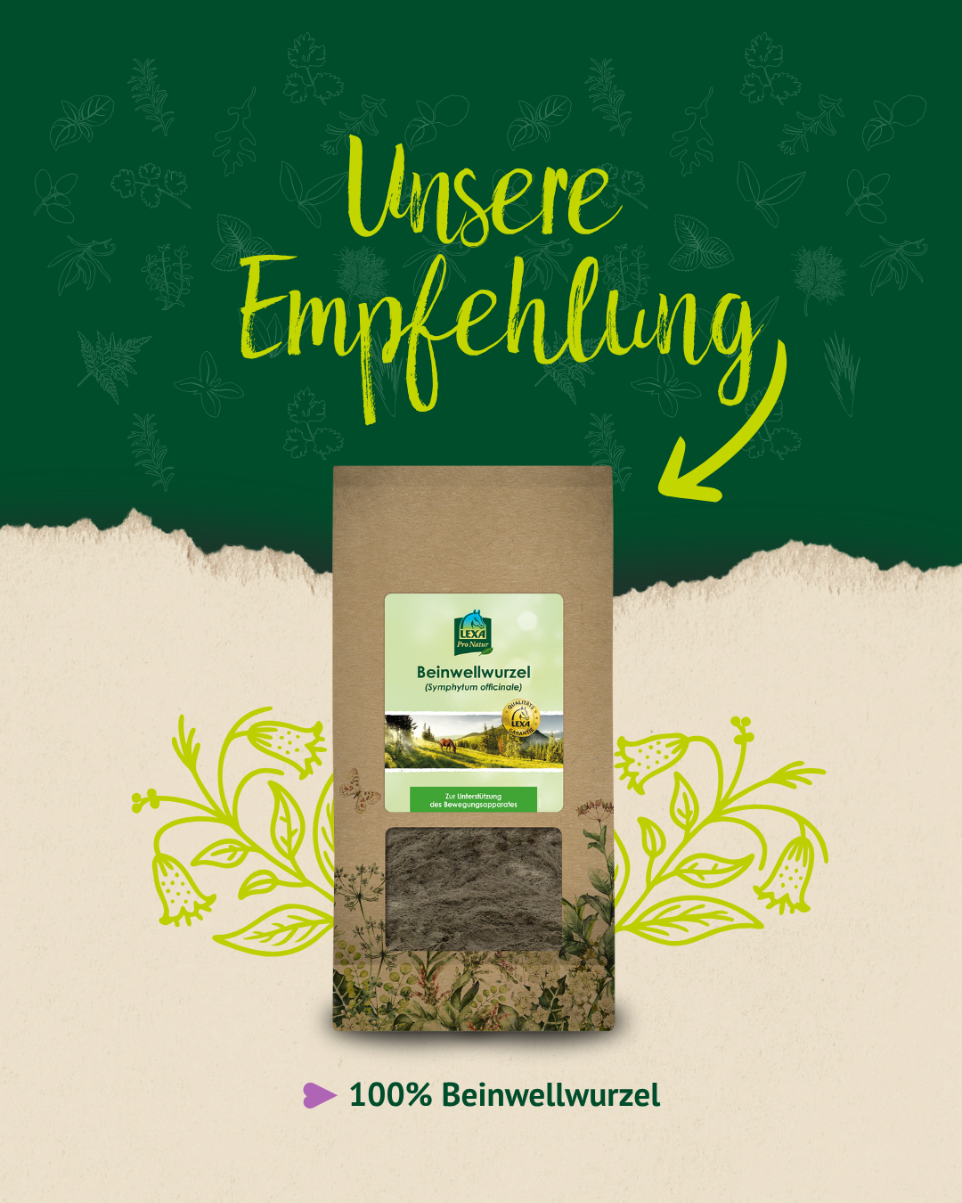 Produktempfehlung für 100 Prozent Beinwellwurzel mit Produktbeutel auf grün-beigem Kräuterkunde-Design.