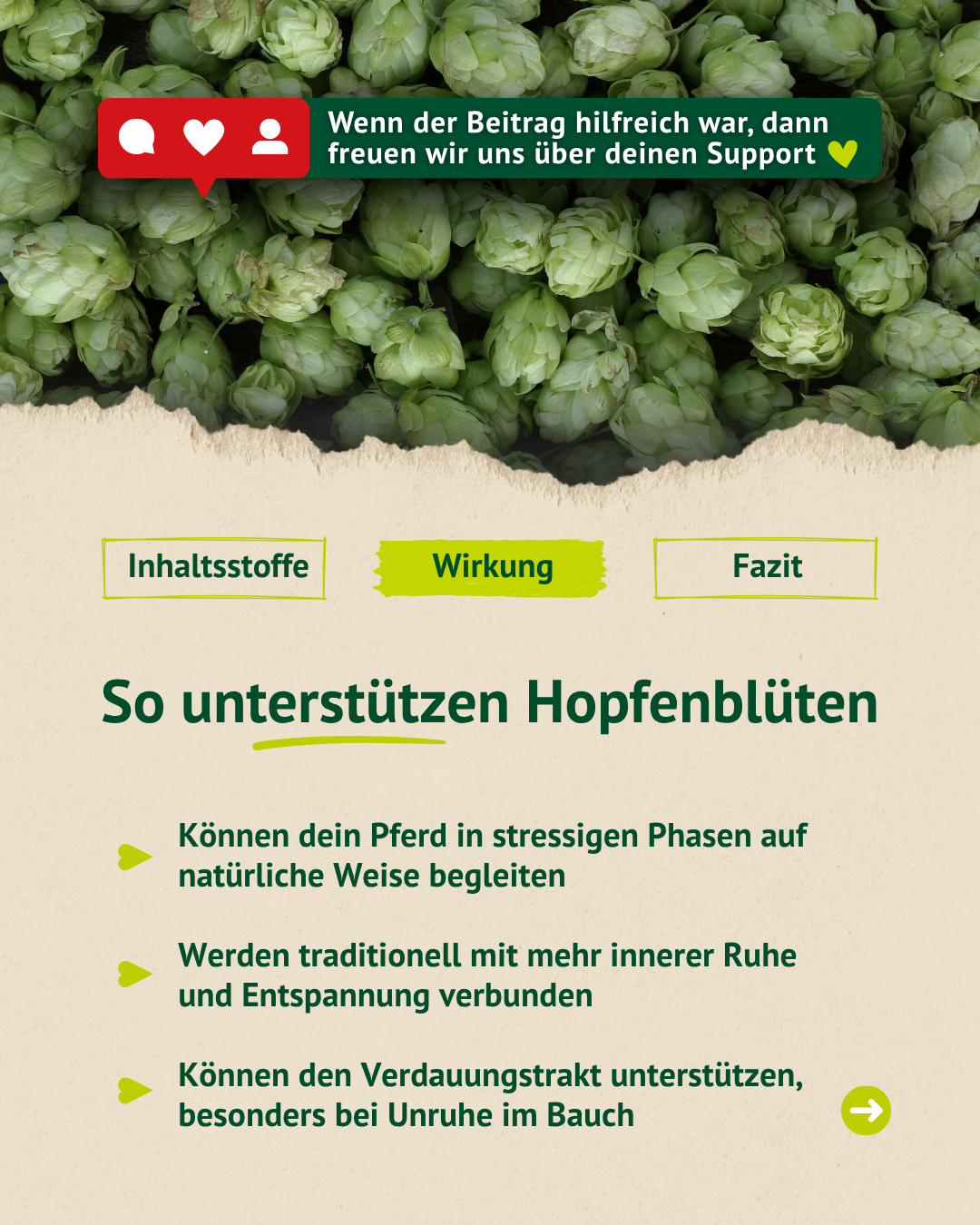 Infografik zur Wirkung von Hopfenblüten bei Pferden, unter anderem zur Unterstützung in stressigen Phasen und bei Unruhe im Bauch.