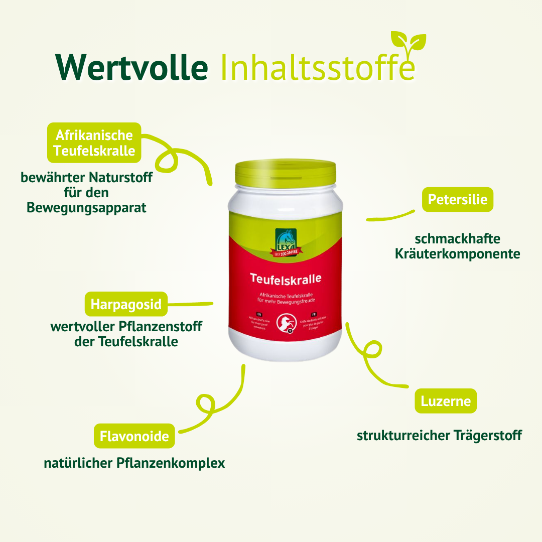 Übersicht der wertvollen Inhaltsstoffe von LEXA Teufelskralle mit afrikanischer Teufelskralle, Harpagosid, Flavonoiden, Petersilie und Luzerne.