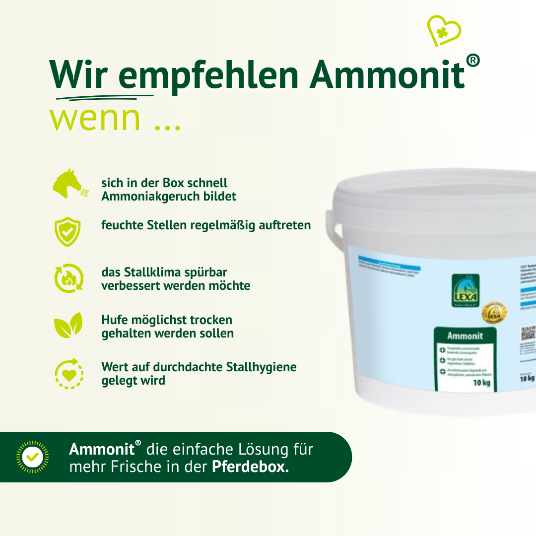 LEXA Ammonit Einstreupulver – empfohlen bei Ammoniakgeruch, feuchten Stellen und für bessere Stallhygiene in der Pferdebox