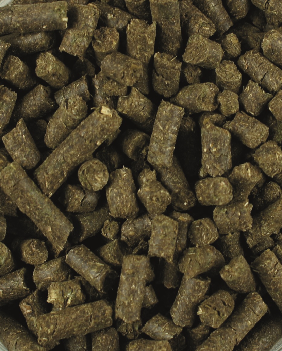 Bronchi-Vital Pellets Braune, zylindrische Pellets für Pferde, grob gepresst