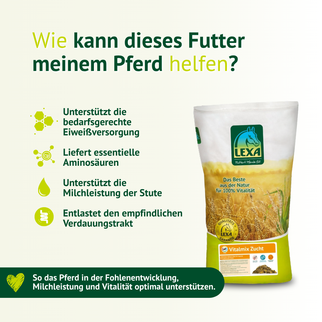 Pferdefutter unterstützt Eiweißversorgung, Milchleistung und Verdauung bei Stuten