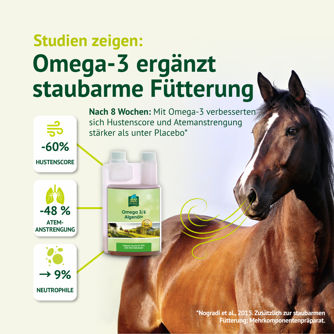 LEXA Algenöl+ neben einem braunen Pferd und Atemwegssymbolen. Thema: Omega-3 als Ergänzung zur staubarmen Fütterung.