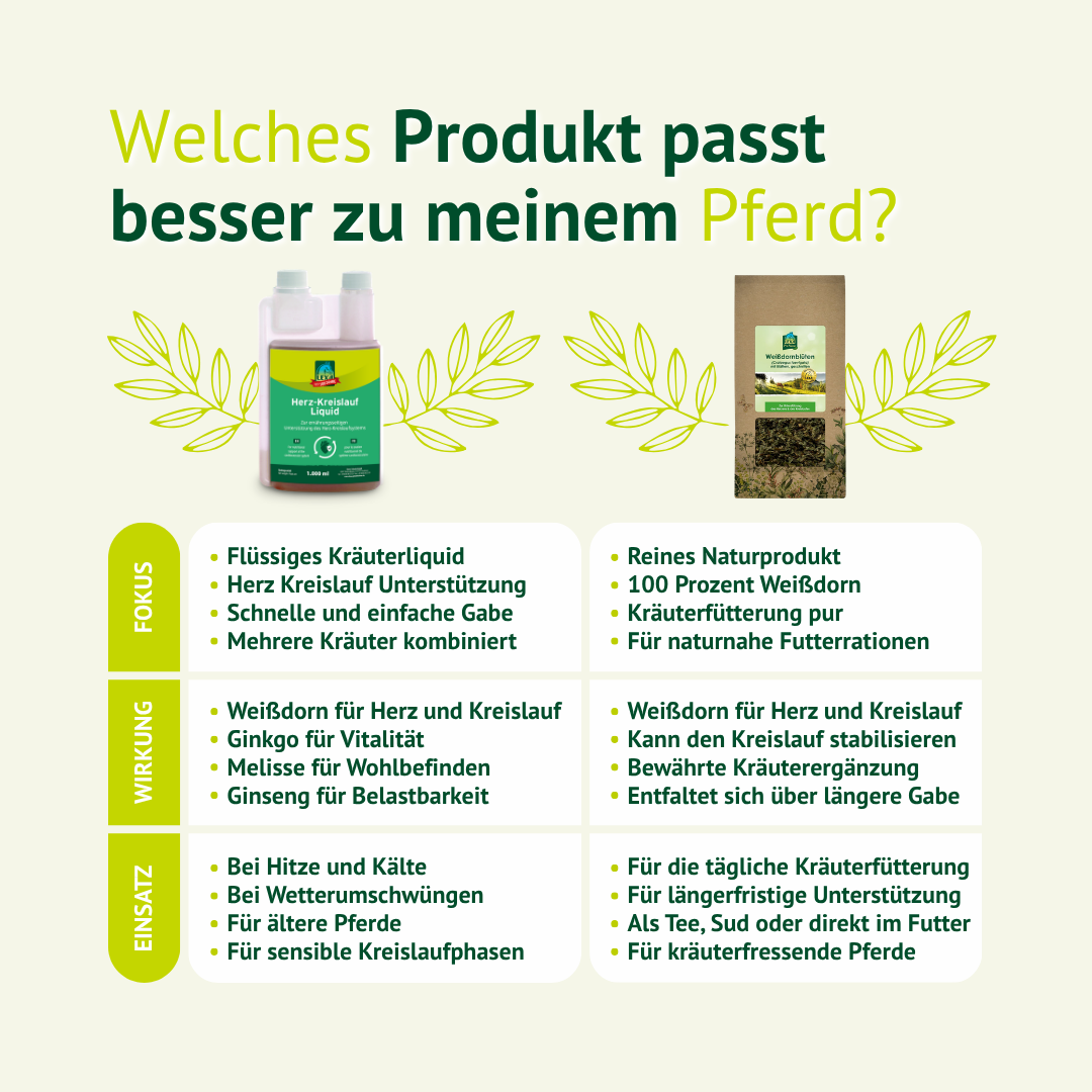 Vergleich von LEXA Herz-Kreislauf Liquid und Herz-Kreislauf Kräutern zur passenden Produktwahl für Pferde.