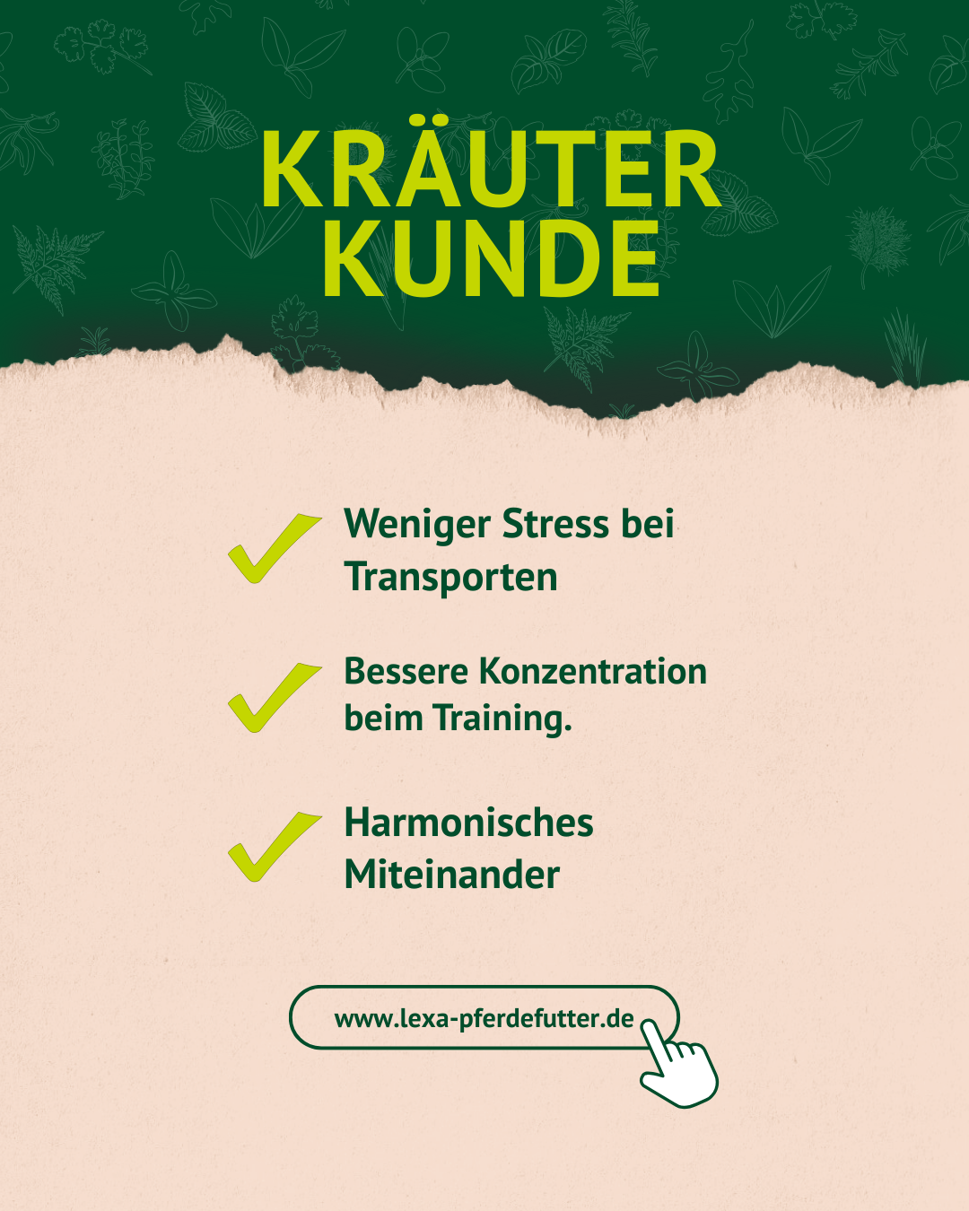 6. Lavendel Post der Kräuterkunde 6. Lavendel Post der Kräuterkunde