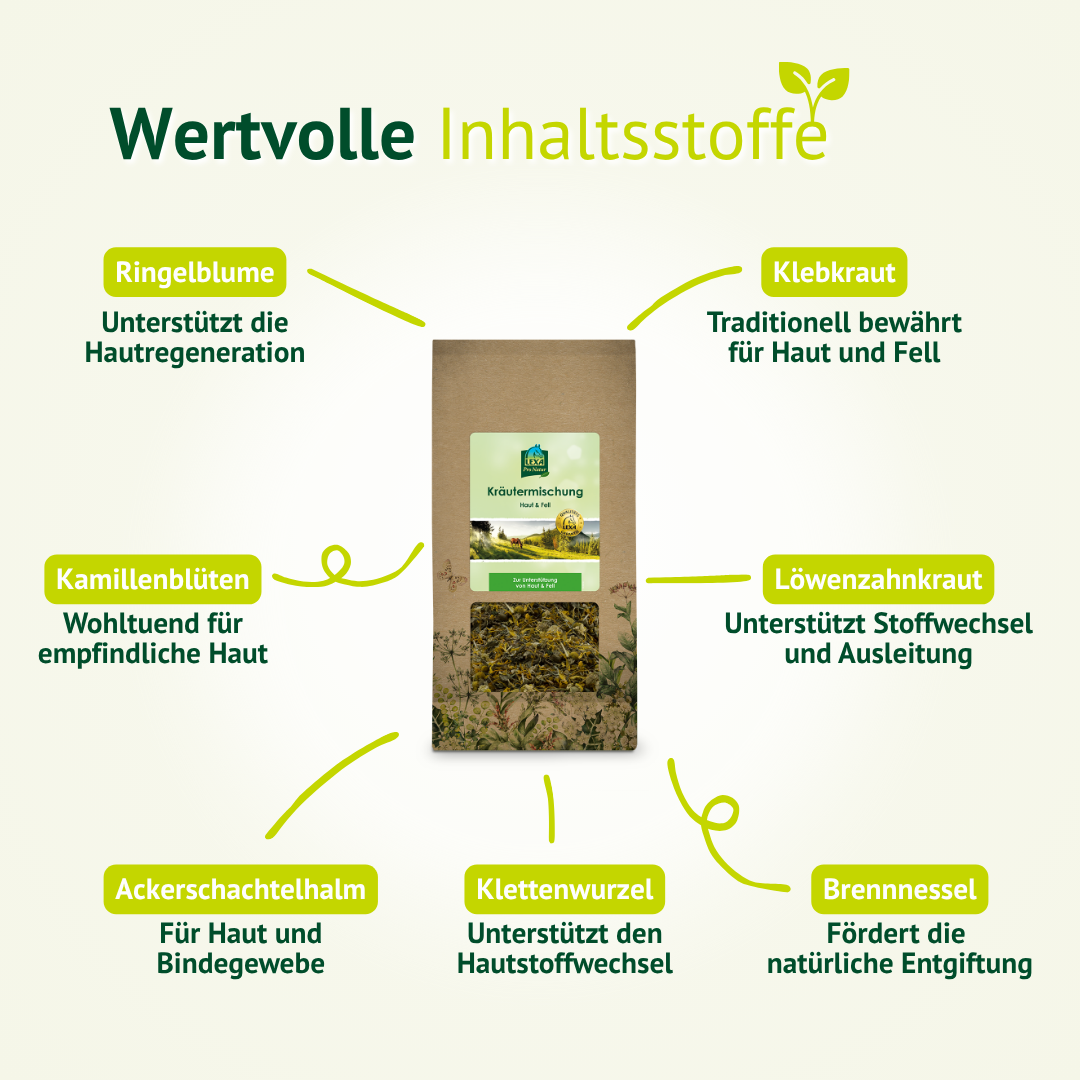 Inhaltsstoffe der LEXA Kräutermischung Haut & Fell mit Ringelblume, Klebkraut, Kamille, Brennnessel und weiteren Kräutern