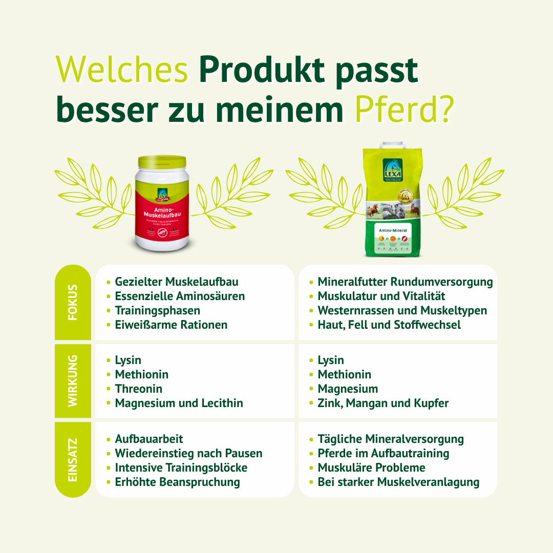 Welches Produkt passt zu meinem Pferd? Vergleich verschiedener Ergänzungsfutter von LEXA zur Unterstützung von Muskulatur, Stoffwechsel und Leistung.