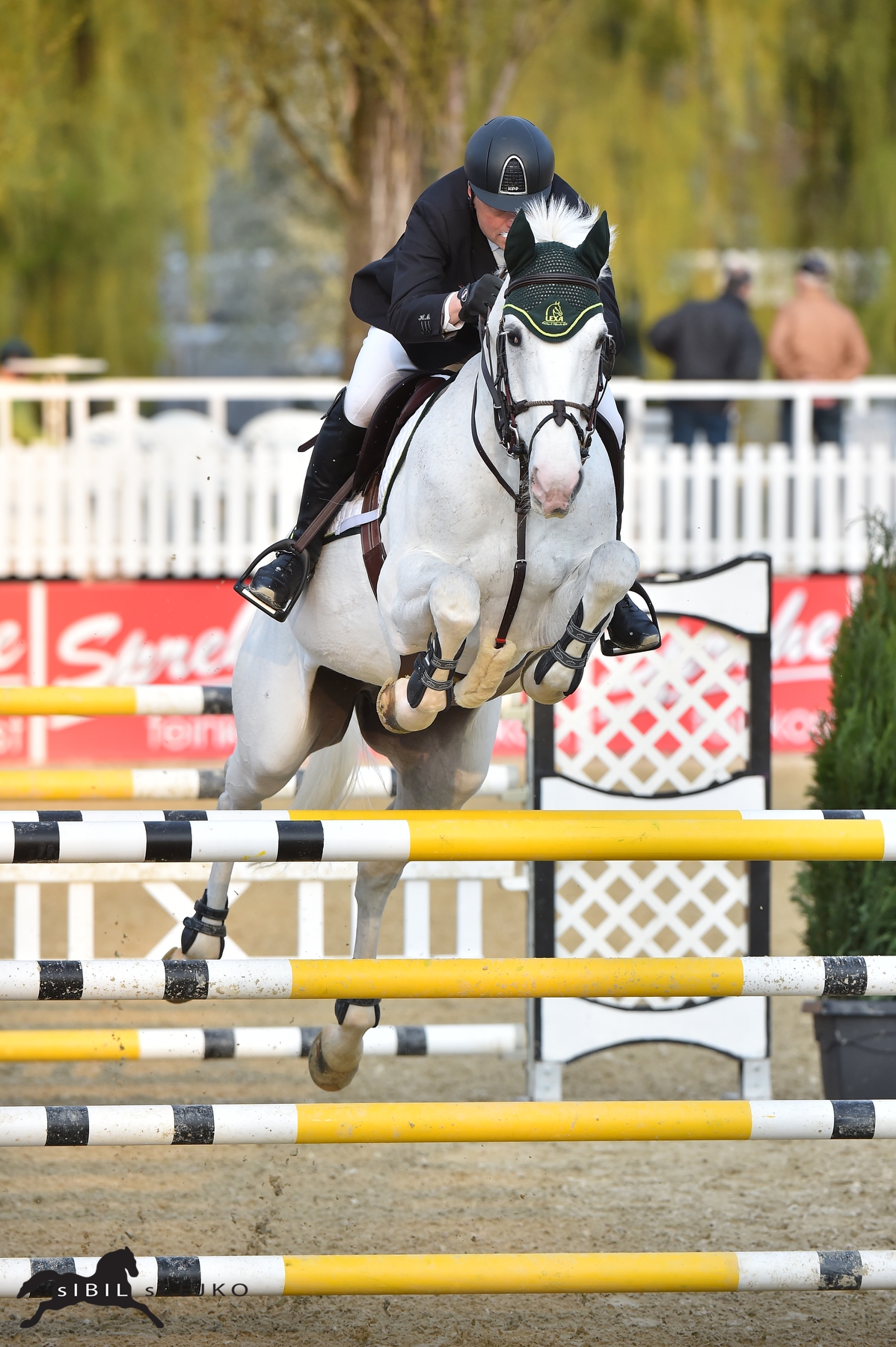 Reiter springt mit Pferd über ein Hindernis Ein Reiter in schwarzer Kleidung springt mit einem weißen Pferd über ein Hindernis in einem Springturnier.