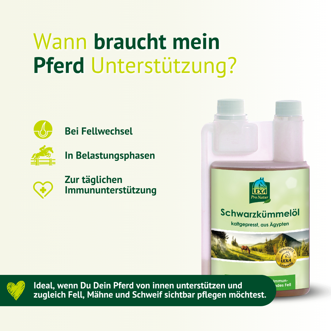 Schwarzkümmelöl für Pferde im Fellwechsel und in Belastungsphasen – tägliche Unterstützung für Immunsystem und Fellpflege
