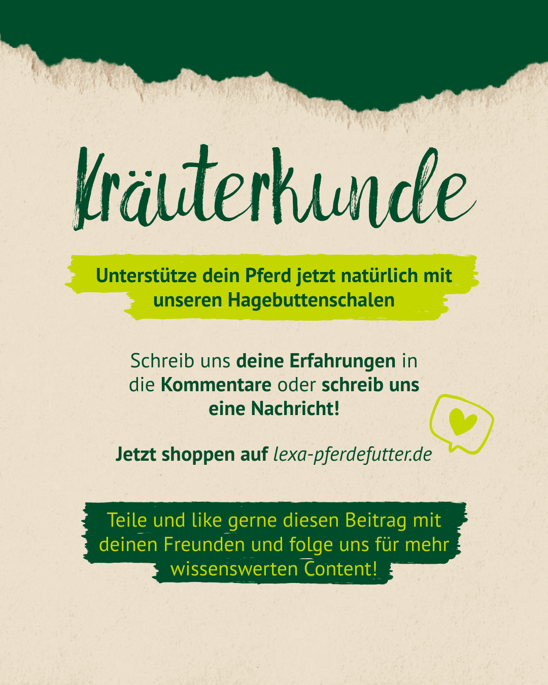 Text auf Papier mit dem Titel 'Kräuterkunde' und Werbetext für Hagebuttenschalen zur Unterstützung von Pferden sowie Aufforderung zum Kommentieren und Folgen auf lexapferdefutter.de