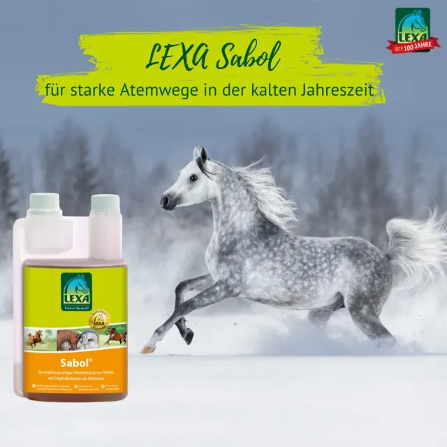 Lexa Gastro Akut 3 Kg – Ergänzungsfutter Für Magenempfindliche Pferde, Mit Aloe Vera